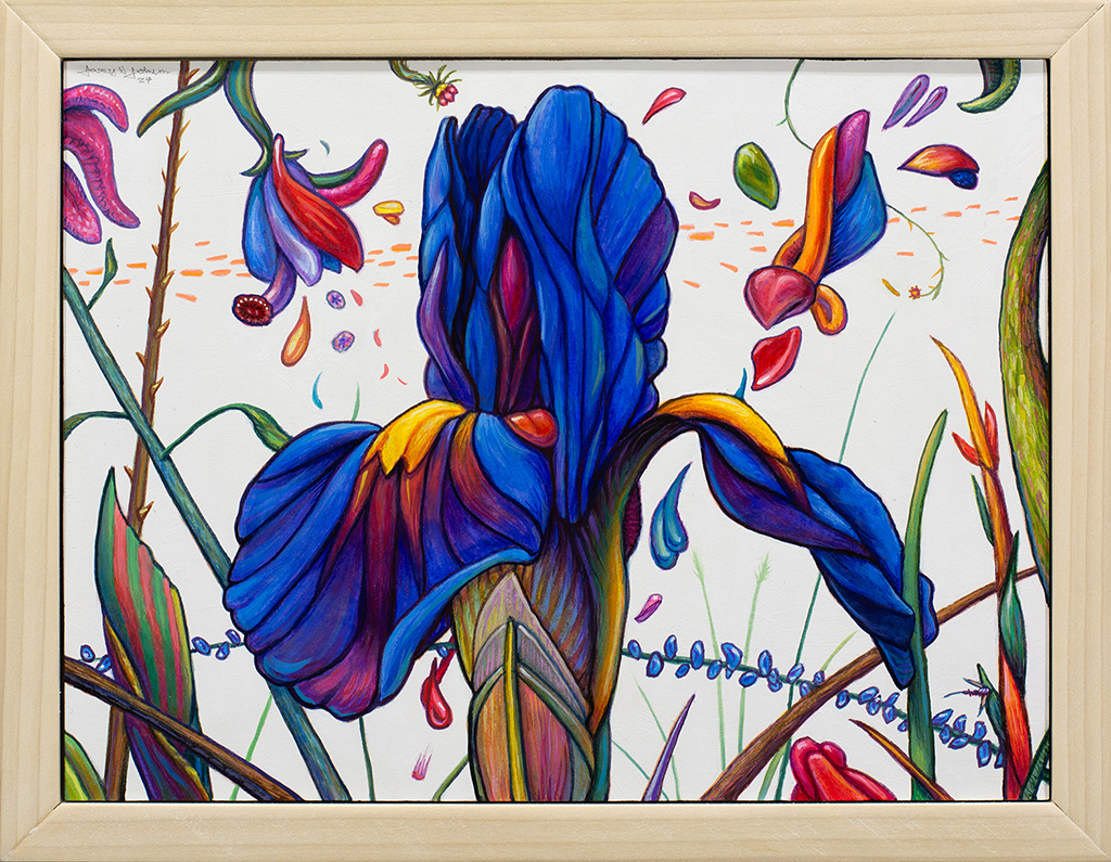 Dutch Iris Interpretation